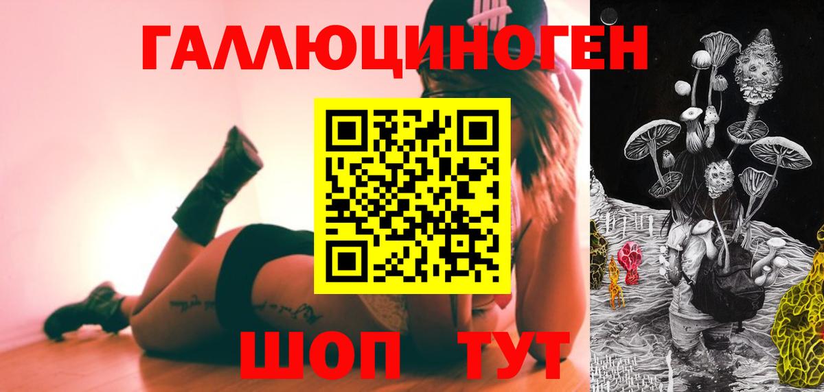 Нефтекумск  Галлюциногенные грибы Psilocybine cubensis  Вход с VPN 
